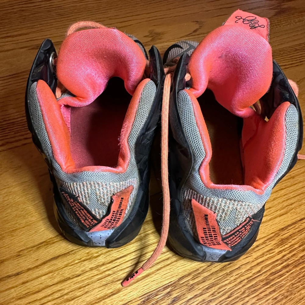 Easter Lebron shoes size 7